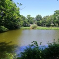 実際訪問したユーザーが直接撮影して投稿した菊名公園菊名池公園の写真