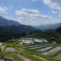 実際訪問したユーザーが直接撮影して投稿した自然名所丸山千枚田の写真