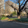 実際訪問したユーザーが直接撮影して投稿した日比谷公園公園日比谷公園 高鉄棒広場の写真