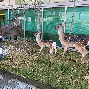 実際訪問したユーザーが直接撮影して投稿した鶴丘オブジェエゾシカ像の写真