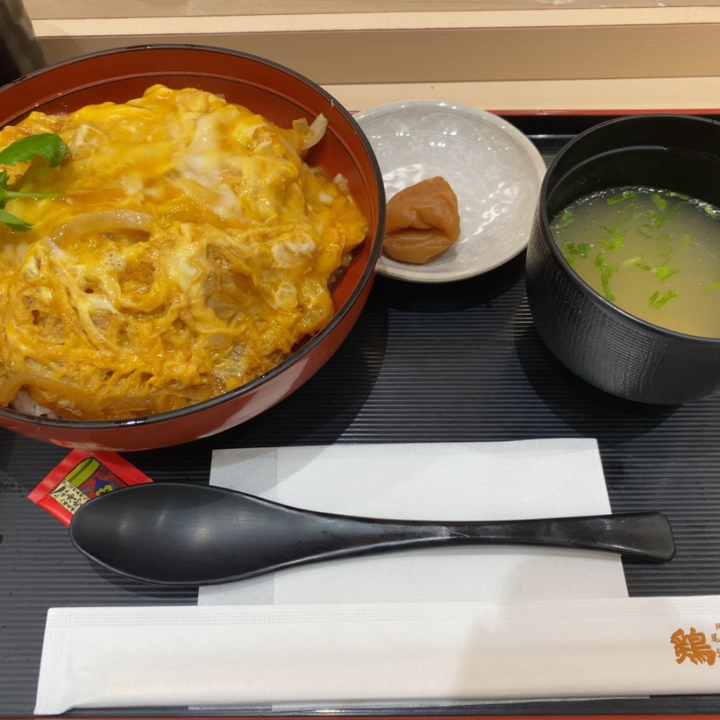 ユーザーが投稿した美水親子丼の写真 - 実際訪問したユーザーが直接撮影して投稿した本町鶏料理鶏三和 シャポー船橋店の写真