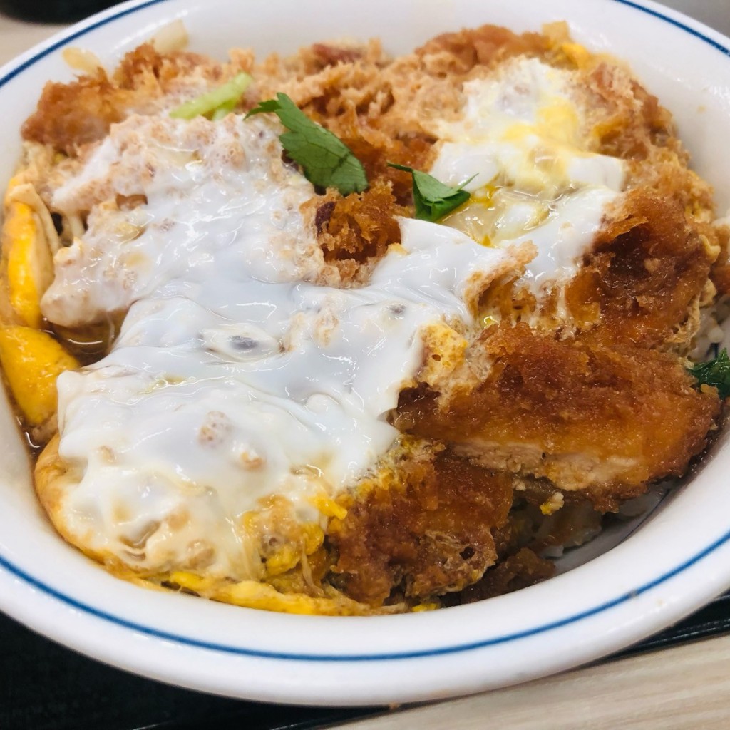 ユーザーが投稿したカツ丼(梅)の写真 - 実際訪問したユーザーが直接撮影して投稿した本庄町大字袋とんかつかつや 佐賀本庄店の写真