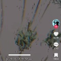 実際訪問したユーザーが直接撮影して投稿した竜が岡お好み焼き大釜屋 西神戸店の写真