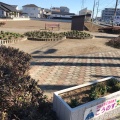 実際訪問したユーザーが直接撮影して投稿した中央公園けやき通りポケットパークの写真