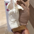 コーン - 実際訪問したユーザーが直接撮影して投稿した下平良アイスクリームジェラート工房ポーラーベア ゆめタウン廿日市店の写真のメニュー情報
