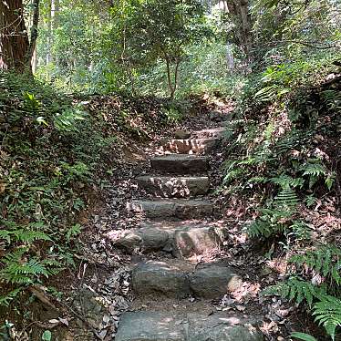 実際訪問したユーザーが直接撮影して投稿した八坂神社事任八幡宮の写真