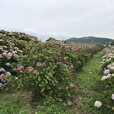 単身赴任おじさんさんが投稿した河川のお店園瀬川の写真