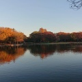 実際訪問したユーザーが直接撮影して投稿した二の宮公園茨城県営洞峰公園の写真