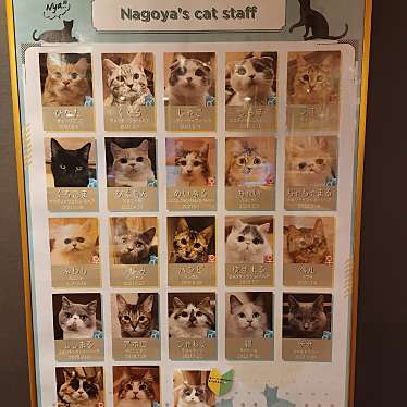 猫カフェ MOCHA 名古屋栄店のundefinedに実際訪問訪問したユーザーunknownさんが新しく投稿した新着口コミの写真