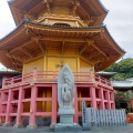 実際訪問したユーザーが直接撮影して投稿した天王台寺満願寺の写真