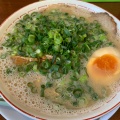 実際訪問したユーザーが直接撮影して投稿した剣崎町ラーメン / つけ麺だるま大使 本店の写真