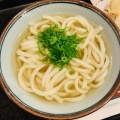 かけうどん - 実際訪問したユーザーが直接撮影して投稿した舞浜うどんよつばの香の写真のメニュー情報