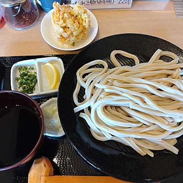 実際訪問したユーザーが直接撮影して投稿した菅谷町うどん武蔵野うどんっ かみつけ製麺店の写真