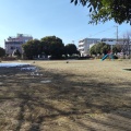 実際訪問したユーザーが直接撮影して投稿した東所沢公園明改原公園の写真