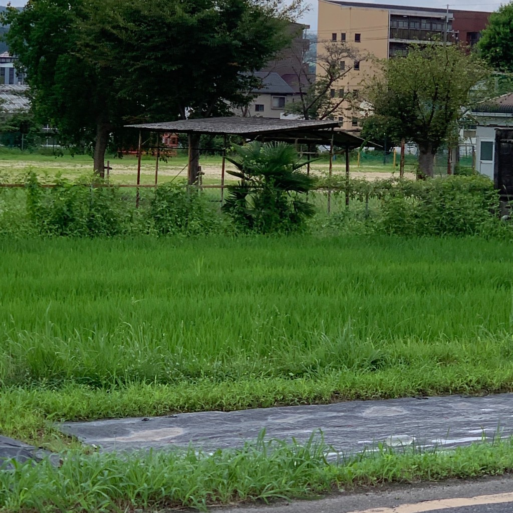 実際訪問したユーザーが直接撮影して投稿した三山木塔ノ島公園鶴沢公園の写真