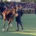 実際訪問したユーザーが直接撮影して投稿した古作競馬場中山競馬場の写真