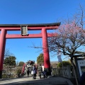 実際訪問したユーザーが直接撮影して投稿した亀戸神社亀戸天神社の写真