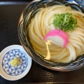 かけうどん - 実際訪問したユーザーが直接撮影して投稿した国府町桜間そばうどんや 壱の写真のメニュー情報