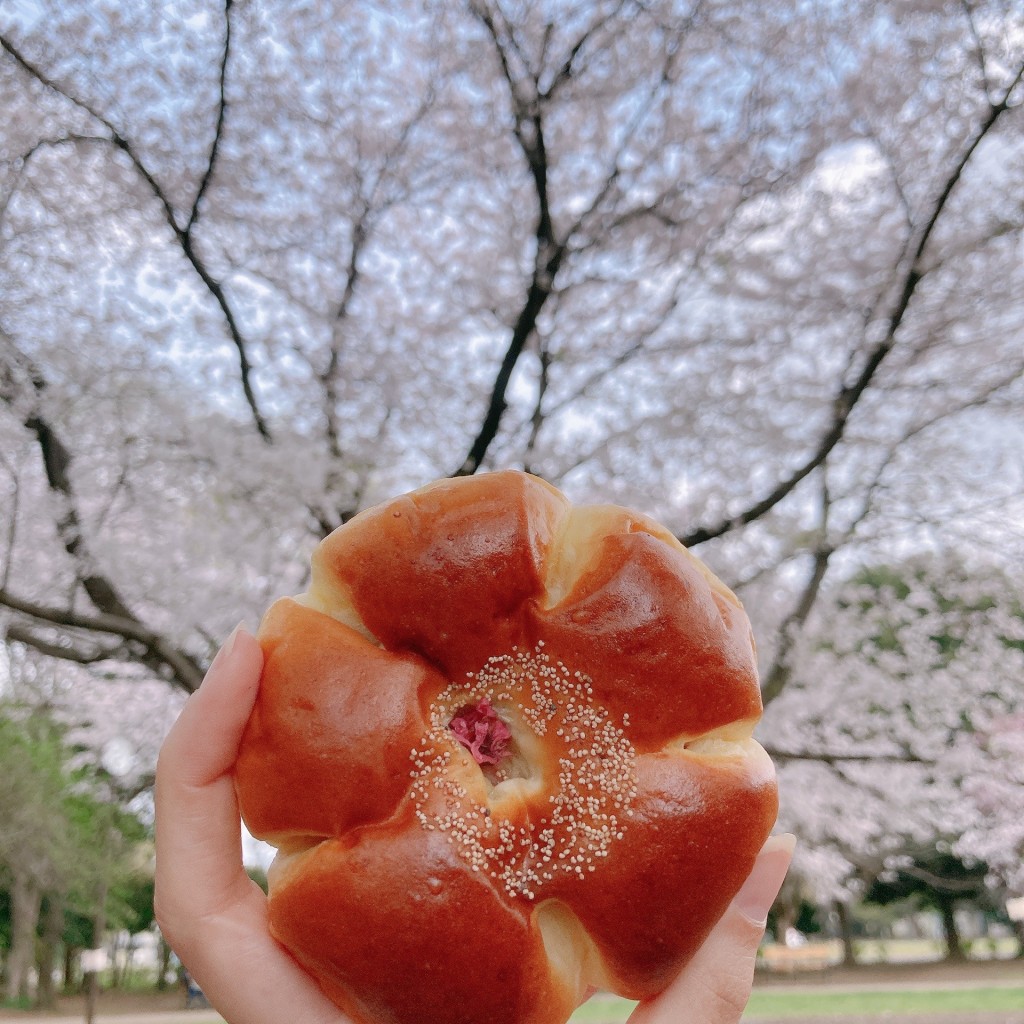 ユーザーが投稿した桜あんぱんの写真 - 実際訪問したユーザーが直接撮影して投稿した下連雀ベーカリートーホーベーカリーの写真