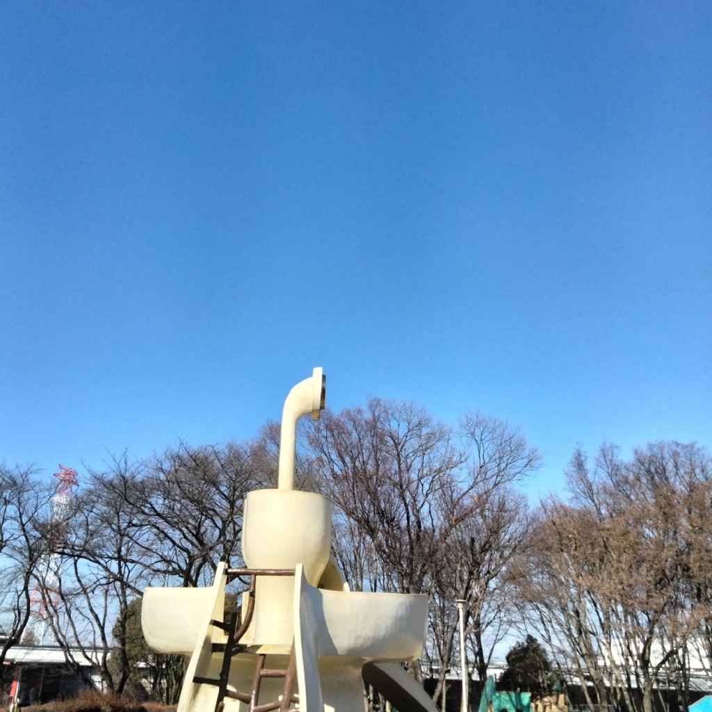 実際訪問したユーザーが直接撮影して投稿した坂田公園桶川市子ども公園わんぱく村の写真