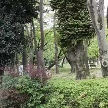 実際訪問したユーザーが直接撮影して投稿した名城公園名城公園の写真