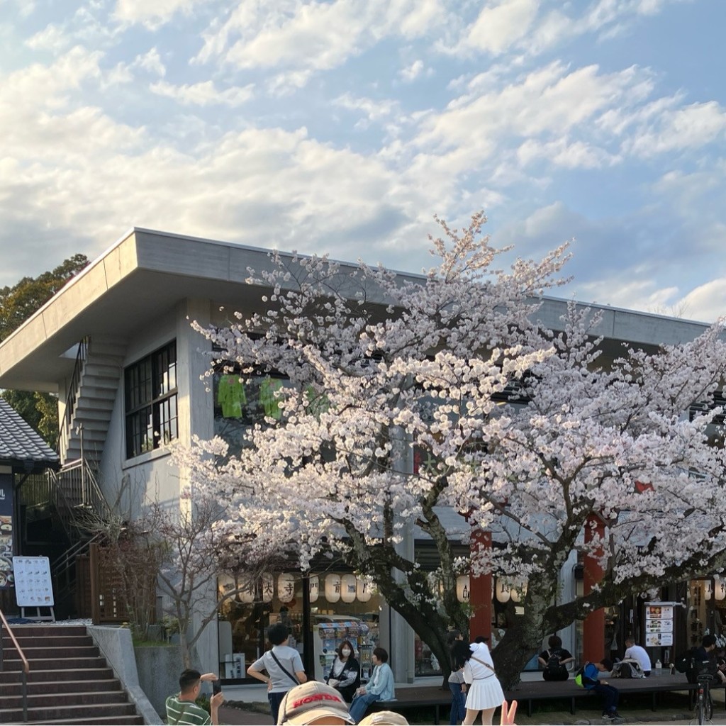 実際訪問したユーザーが直接撮影して投稿した春日野町広場くつろぎ広場の写真