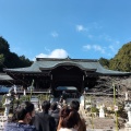 実際訪問したユーザーが直接撮影して投稿した神宮町神社近江神宮の写真