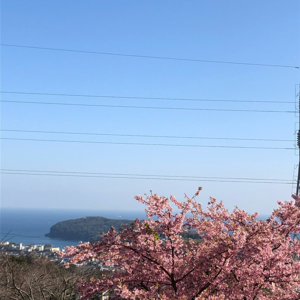 実際訪問したユーザーが直接撮影して投稿した吉浜公園ゆめ公園(湯河原総合運動公園)の写真