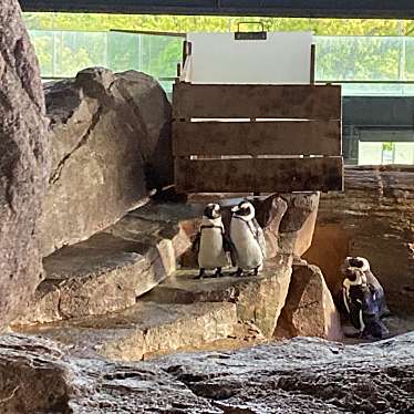 京都水族館のundefinedに実際訪問訪問したユーザーunknownさんが新しく投稿した新着口コミの写真