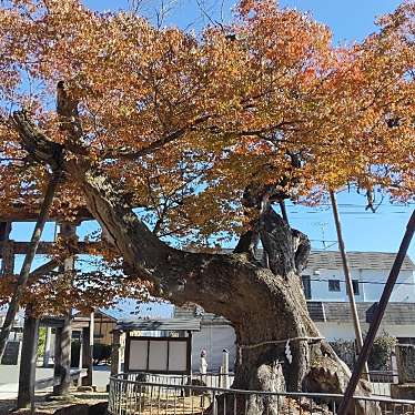 実際訪問したユーザーが直接撮影して投稿した慶徳町新宮神社新宮熊野神社の写真