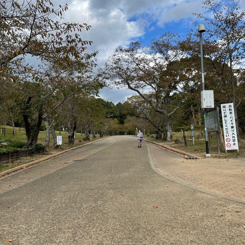 実際訪問したユーザーが直接撮影して投稿した加古川町大野公園日岡山公園の写真