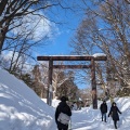 実際訪問したユーザーが直接撮影して投稿した宮ケ丘神社北海道神宮の写真