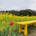 実際訪問したユーザーが直接撮影して投稿した則貞公園ときわ公園の写真