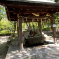 実際訪問したユーザーが直接撮影して投稿した中村町神社豊国神社の写真