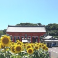 実際訪問したユーザーが直接撮影して投稿した天王台寺満願寺の写真