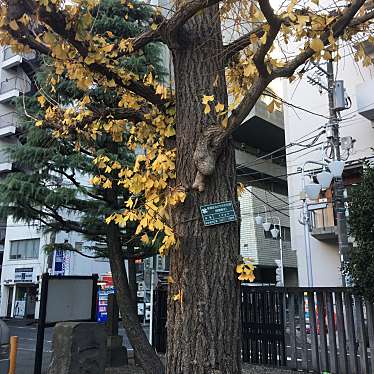 実際訪問したユーザーが直接撮影して投稿した新宿地域名所百度石の写真