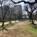 実際訪問したユーザーが直接撮影して投稿した東駒形公園大横川親水公園の写真