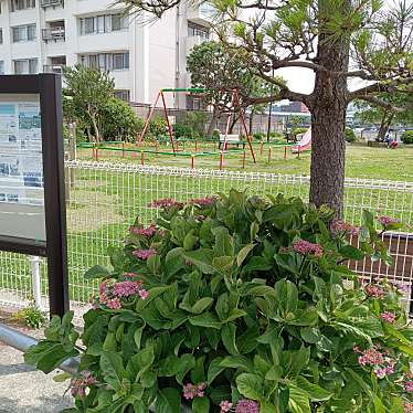 実際訪問したユーザーが直接撮影して投稿した洲崎町公園洲崎公園の写真