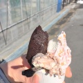 実際訪問したユーザーが直接撮影して投稿した植下町スイーツGelateria Auguriの写真