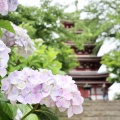 実際訪問したユーザーが直接撮影して投稿した平賀寺本土寺の写真