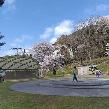 実際訪問したユーザーが直接撮影して投稿した太子堂公園信夫山公園の写真
