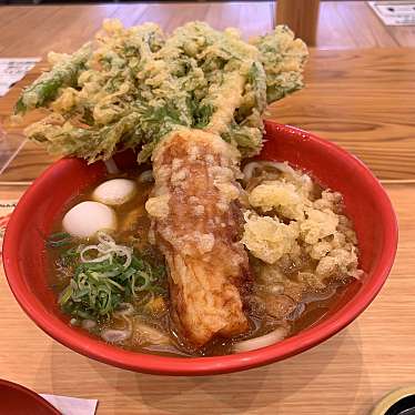 実際訪問したユーザーが直接撮影して投稿した東七根町うどん和食麺処 つるあん 道の駅店の写真