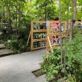 実際訪問したユーザーが直接撮影して投稿した日本橋室町懐石料理 / 割烹水戯庵の写真