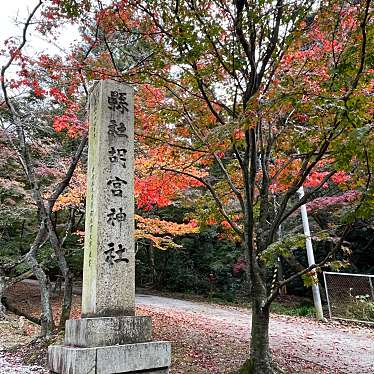 実際訪問したユーザーが直接撮影して投稿した敏満寺神社胡宮神社の写真