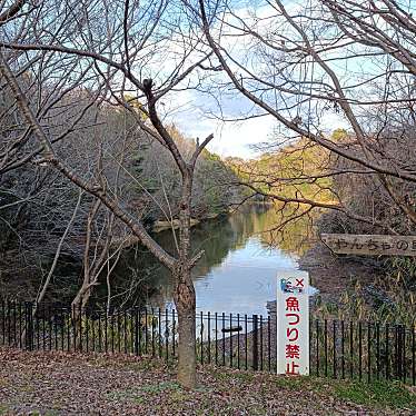 実際訪問したユーザーが直接撮影して投稿した錦織南湖沼 / 池赤穂池の写真