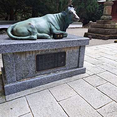 実際訪問したユーザーが直接撮影して投稿した朝熊町寺金剛證寺の写真