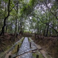 実際訪問したユーザーが直接撮影して投稿した小泉町寺慈光院の写真