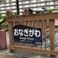 実際訪問したユーザーが直接撮影して投稿した河川小名木川の写真