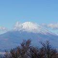 実際訪問したユーザーが直接撮影して投稿した山 / 峠金時山の写真