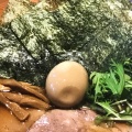 実際訪問したユーザーが直接撮影して投稿した高萩東ラーメン専門店麺屋 真心の写真